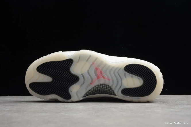 Low Air Bone SE 11 Snake Light CD6846-002 Jordan 0628